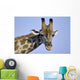 giraffe Wall Mural