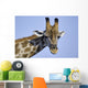 giraffe Wall Mural