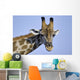 giraffe Wall Mural