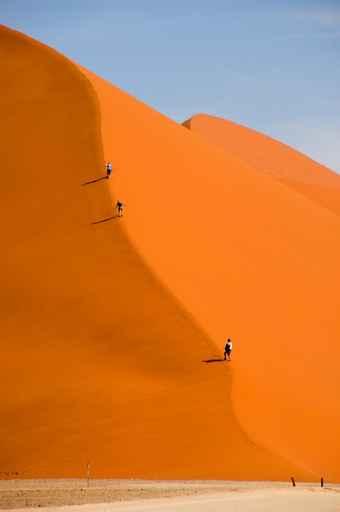 People Dune Wall Decal