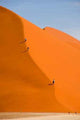 People Dune Wall Decal