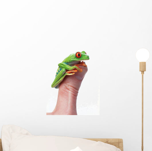 Red-Eyed Tree Frog Wall Mural