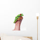 Red-Eyed Tree Frog Wall Mural