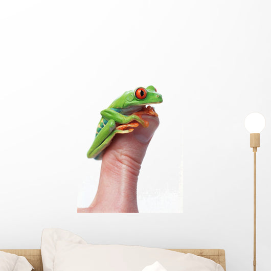 Red-Eyed Tree Frog Wall Mural