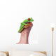 Red-Eyed Tree Frog Wall Mural