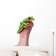 Red-Eyed Tree Frog Wall Mural