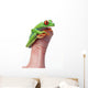 Red-Eyed Tree Frog Wall Mural
