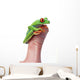 Red-Eyed Tree Frog Wall Mural
