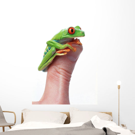 Red-Eyed Tree Frog Wall Mural