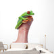 Red-Eyed Tree Frog Wall Mural