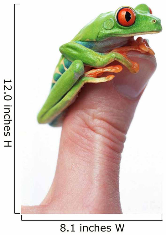 Red-Eyed Tree Frog Wall Mural