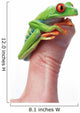 Red-Eyed Tree Frog Wall Mural