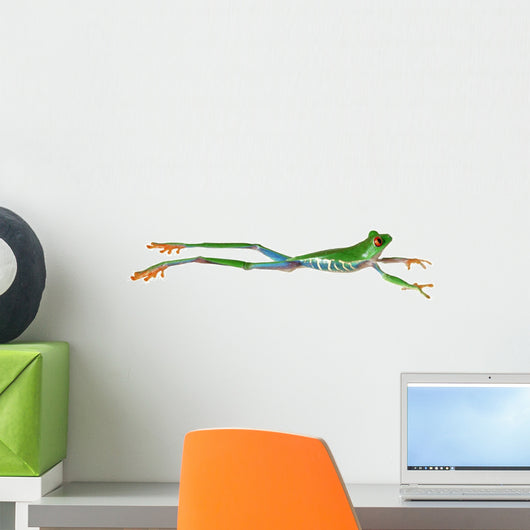Red Eyed Tree Frog Jumping Wall Decal