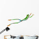 Red-Eyed Tree Frog Wall Decal