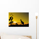Kangaroo Sunset Horizion Wall Mural