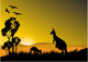 Kangaroo Sunset Horizion Wall Mural