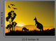 Kangaroo Sunset Horizion Wall Mural