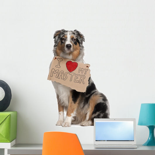 Australian Shepherd Dog 10 Months Old Sitting Wall Decal