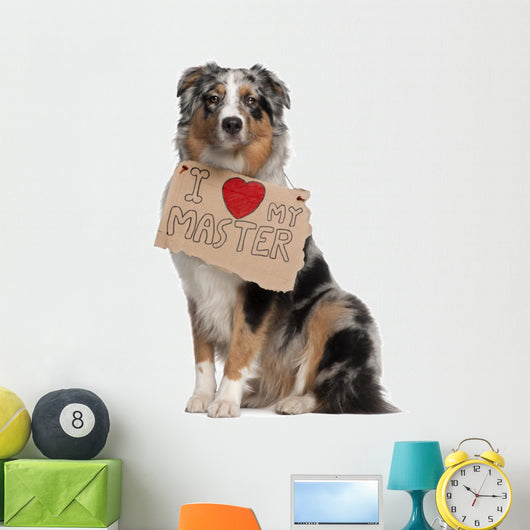 Australian Shepherd Dog 10 Months Old Sitting Wall Decal