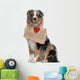 Australian Shepherd Dog 10 Months Old Sitting Wall Decal