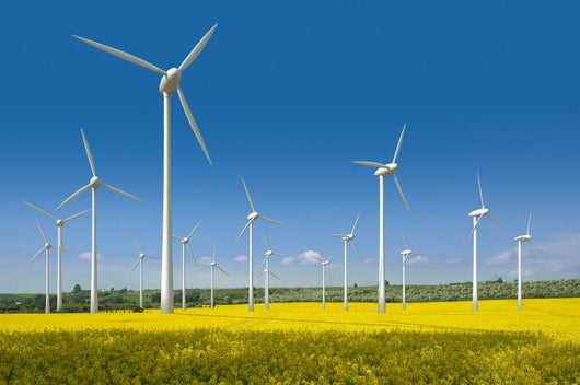 Wind turbines in a rapeseed field Wall Mural