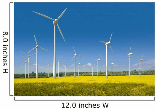 Wind turbines in a rapeseed field Wall Mural