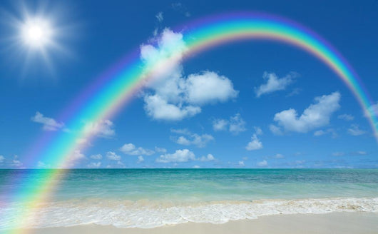 beach and sun Wall Mural