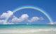 Beach Wall Mural