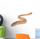 worm on white Wall Decal