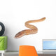 worm on white Wall Decal