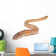 worm on white Wall Decal