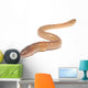 worm on white Wall Decal