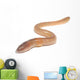worm on white Wall Decal