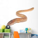 worm on white Wall Decal