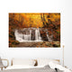 Beautiful Waterfall Forest Autumn