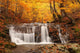 Beautiful Waterfall Forest Autumn