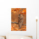 Long Eared Owl Wall Mural