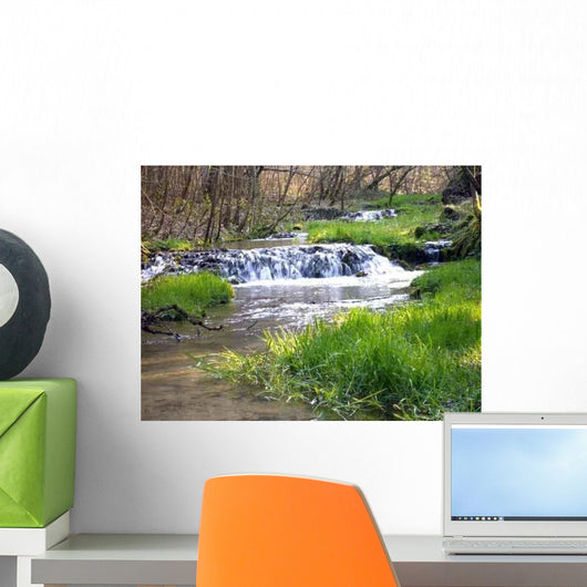 Oase Wall Decal