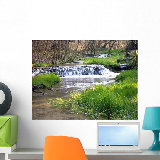 Oase Wall Decal