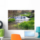 Oase Wall Decal