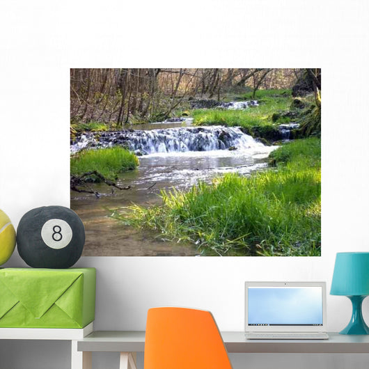 Oase Wall Decal