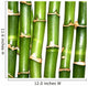 Bamboo Wall Mural