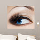 Close-up Beautiful Womanish Eye Wall Mural
