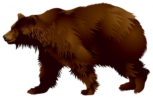 Brown Bear in Vector Wall Decal
