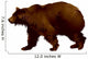 Brown Bear in Vector Wall Decal