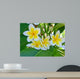 Frangipani Wall Mural