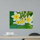 Frangipani Wall Mural