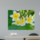 Frangipani Wall Mural