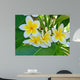 Frangipani Wall Mural