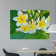Frangipani Wall Mural